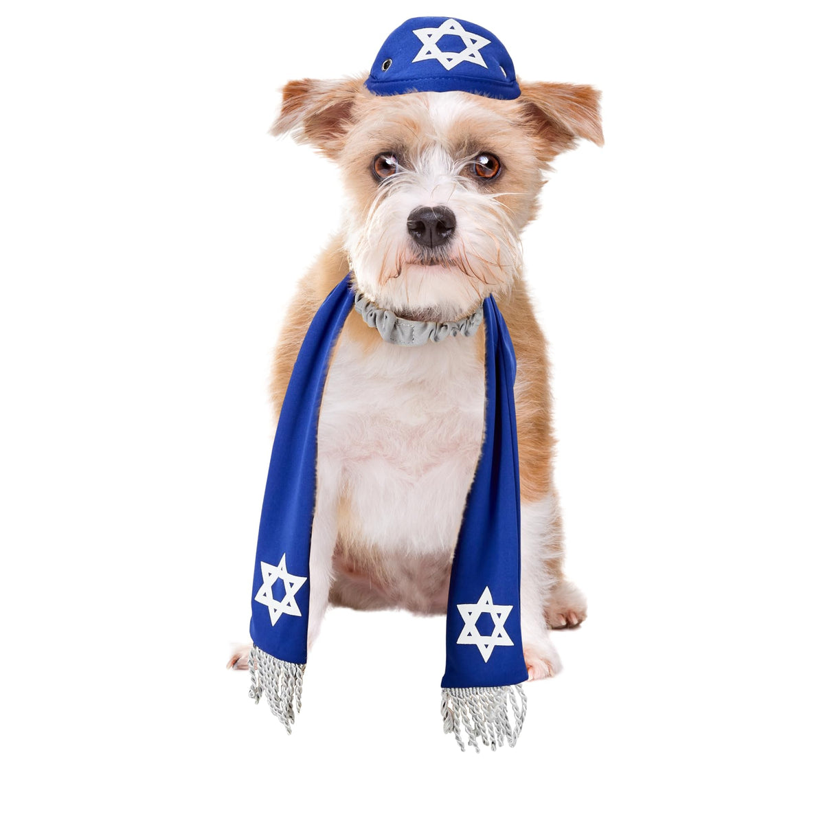 Pets Yarmulke and Tallis Hanukkah Set with Star of David (Large/XL)