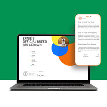 Load image into Gallery viewer, DNA MY DOG – Trusted &amp; Affordable Breed Identification Test | 350+ Breeds Identified w/ 99%+ Accuracy | Complete Breed Analysis, Personality and Behavior Insights | Easy Cheek Swab, Results in 2 Weeks
