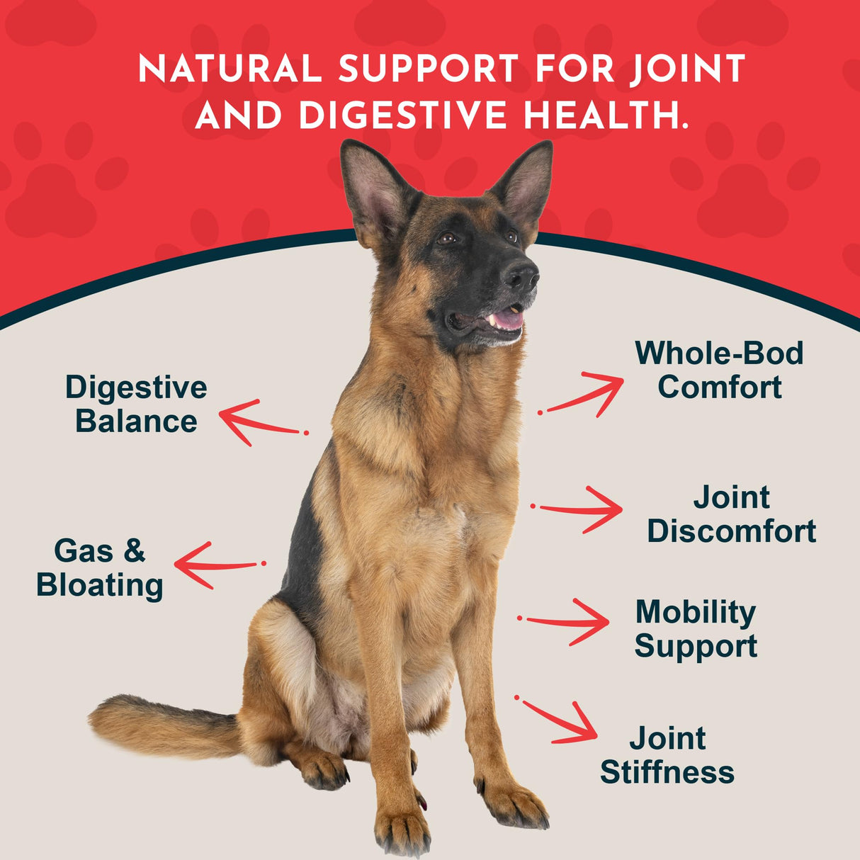 Animal Essentials Yucca - Hip and Joint Yucca Root Supplement for Dogs & Cats, Liquid Herbal Care Drops for Senior Dogs & Older Pets, Bowel & Immune Support, Antioxidant Boost - 1 fl oz