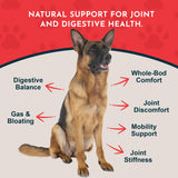 Animal Essentials Yucca - Hip and Joint Yucca Root Supplement for Dogs & Cats, Liquid Herbal Care Drops for Senior Dogs & Older Pets, Bowel & Immune Support, Antioxidant Boost - 1 fl oz
