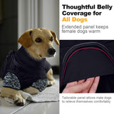 Lelepet Dog Coat 3 in 1 Waterproof Dog Winter Jacket with Harness Built in Windproof Snow Jakcet with Detachable Fleece Sweater Lining Reflective Thermal Cold Weather Coats for Small Medium Large Dogs