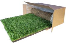 Load image into Gallery viewer, DoggieLawn Dog Potty - Real Grass - XLarge 24x48 inches
