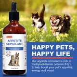 Appetite Stimulant for Dogs & Cats - Vitamin B12 (Methylcobalamin) Liquid Supplement - Boosts Appetite, Energy, and Mood - 60 ml