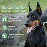 POPETPOP 2 Sets Dog Ear Posting Kit - Doberman Ear Stand Up Tool with Tape, Dog Ear Stand Up Support Tool for Doberman Pinscher Dog Ears Sticker Up