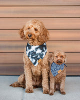 Remy+Roo Dog Bandanas - 4 Pack | Cameron Set | Premium Durable Fabric | Patented Shape | Adjustable Fit | Multiple Sizes Offered (Small)