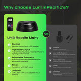 LuminPacific LED Reptiles Light with Remote, UVA UVB FR Lamp for Rainforest & Desert Reptiles, Ferguson Zones 1-4, Timer Switch, 10 Dimmable, for Bearded Dragon, Turtle, Frog, Snake, Plant (1 Pack)