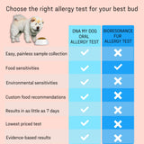 DNA MY DOG Vet-Recommended and Most Accurate Allergy Test for Itchy, Sensitive Dogs | Cheek Swab – The Gold Standard of Testing | Tests for All Common Food & Environmental Allergens | Custom Report