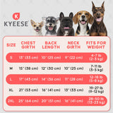KYEESE 2 Pack Dog Cooling Shirts - Breathable Instant Cooling Vests, Lightweight for Summer Dog Apparel, Pink+Grey, Small