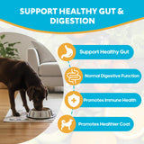Probiotics for Dogs, Dog Probiotics with Digestive Enzymes with and Prebiotics for Support Gut & Digestion Health, Immune Support, Reduce Diarrhea, 60 Capsules