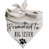 Dog Bandanas Baby Announcement Pregnancy Announcement Promoted to Big Sister Oatmeal Beige Minimal (Medium)