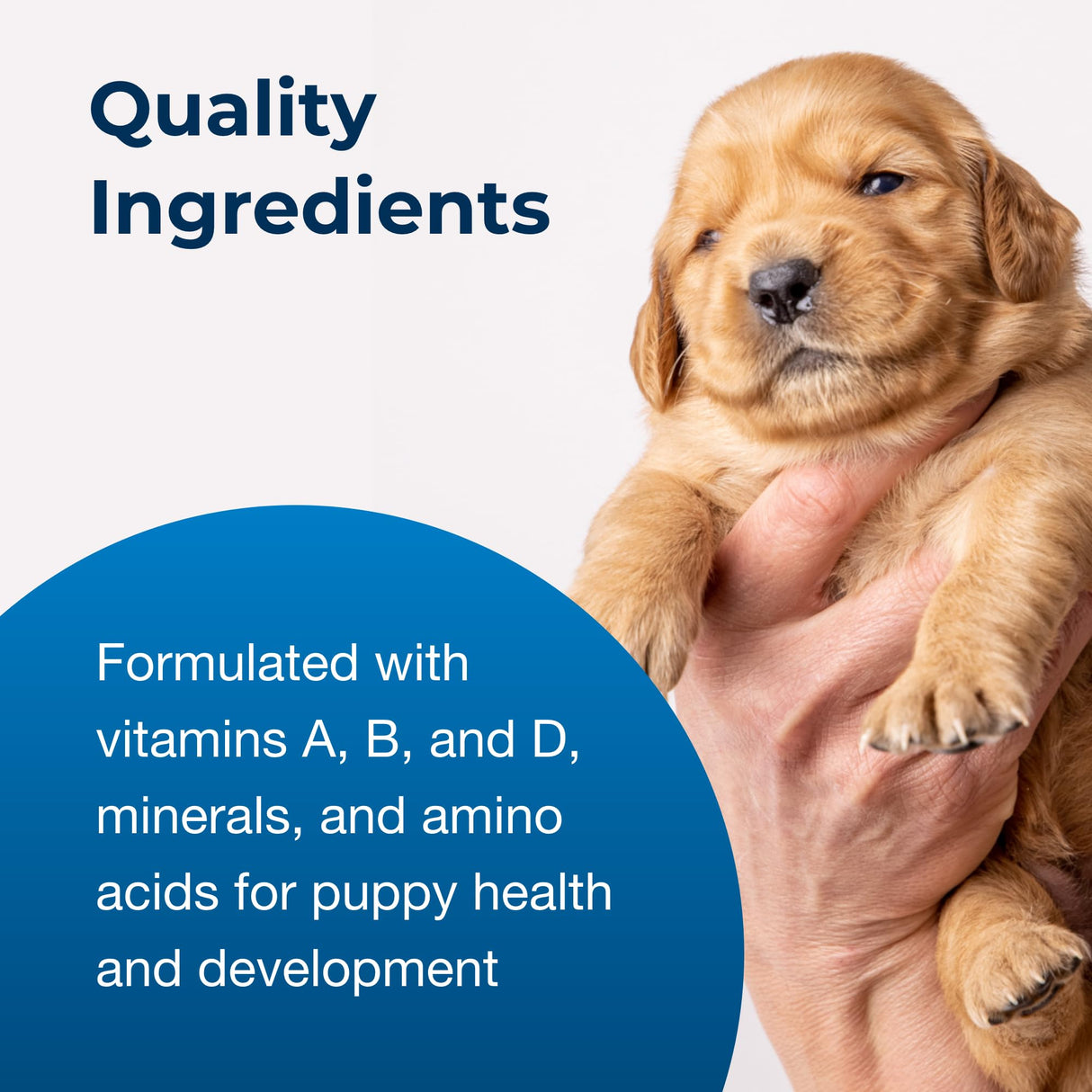 Pet-Ag PetLac Powder for Puppies - 10.5 oz, Pack of 4 - Puppy Milk Replacement Powder for Puppies Newborn to Six Weeks Old - Easy to Digest