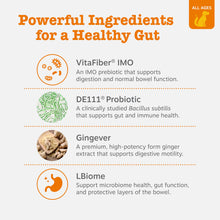 Load image into Gallery viewer, Zesty Paws Vet Strength Probiotics for Dogs, Digestive Health &amp; Gut Flora Support, Dog Supplements, 90 Count
