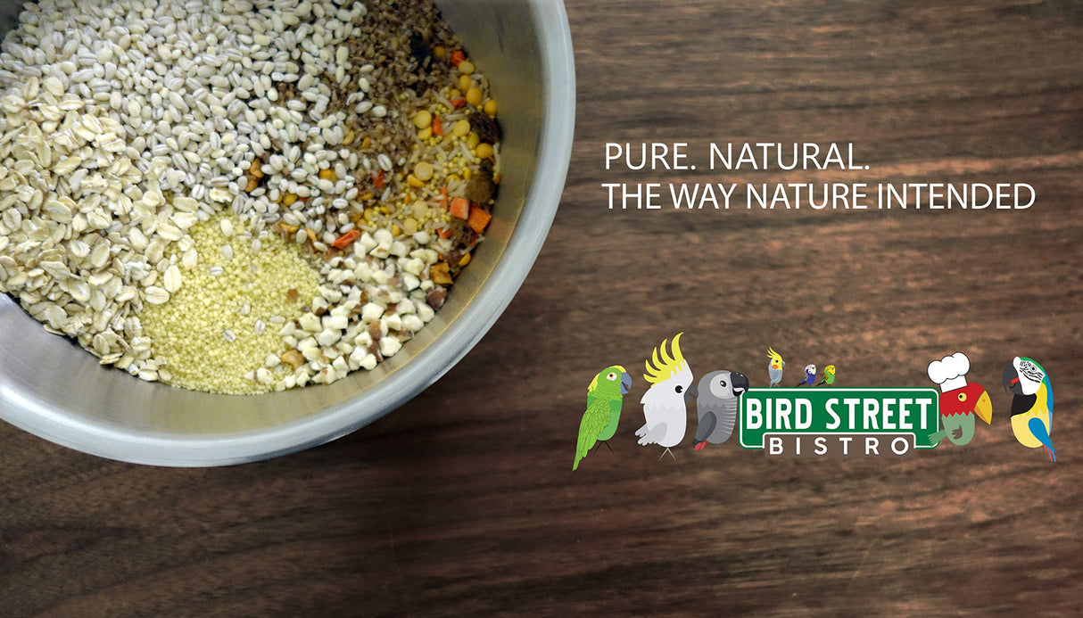 Bird Street Bistro Parrot Food - Parakeet & Cockatiel Food - Cooks in 3-15 min w/Natural Grains, Legumes, Non-GMO Fruits, Vegetables & Health-Oriented Spices