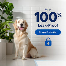 Load image into Gallery viewer, Puppy Pads XL 28x34 [100-COUNT] Dog Pads Extra Large 28" x 34" Leak-Proof Dog Pee Pads - Quick-Dry Puppy Pee Pads Pet Potty Training - Heavy Duty Super Absorbent Wee Wee Pads for Dogs Bulk -100 Pack
