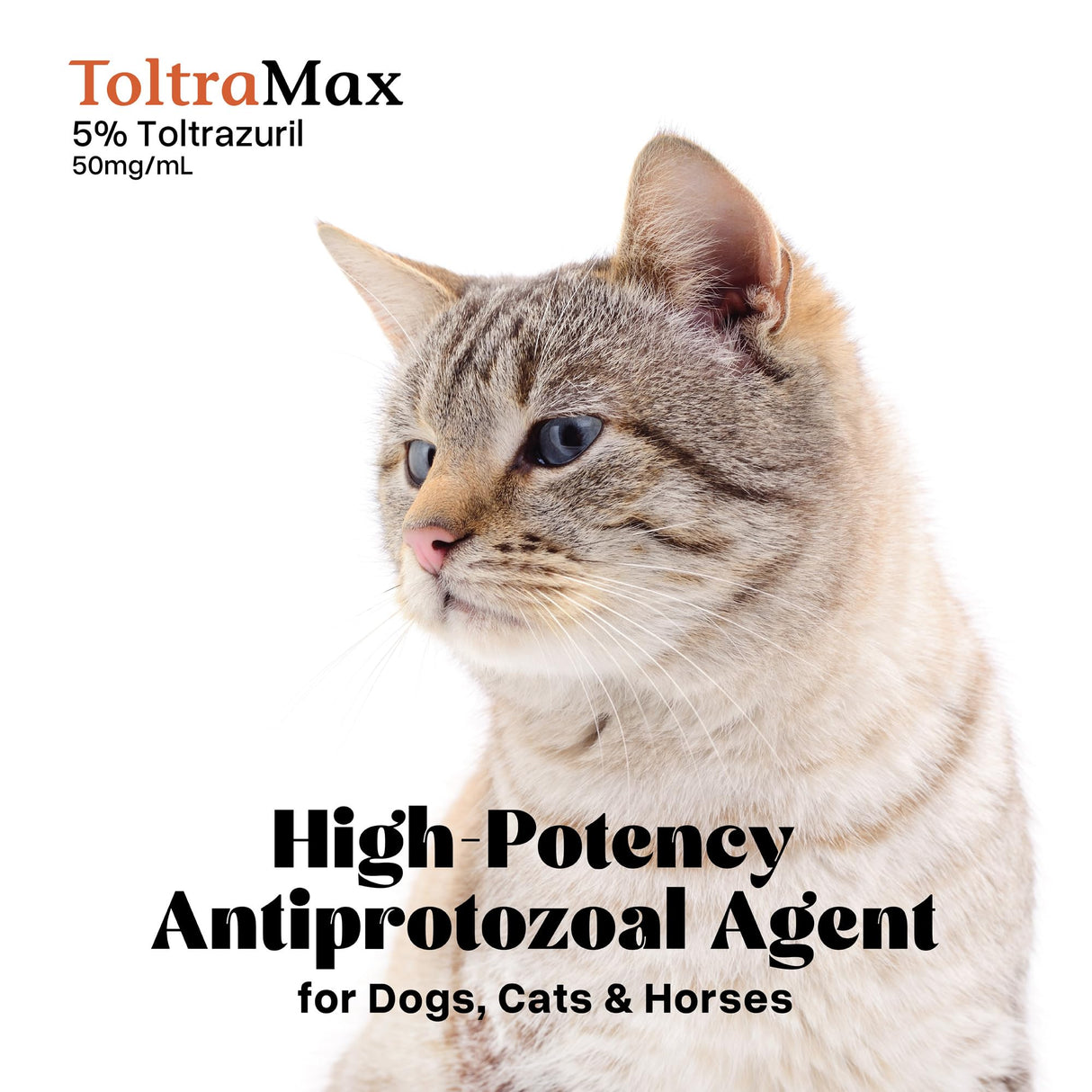ToltraMax Toltrazuril 5.0% for Horses, Dogs, Cats, 60mL/2 Ounce, for Non-Food Chain Animals