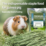 Hay Natural Oven-Baked Timothy Hay for Guinea Pigs, Rabbits & Chinchillas, All Natural High Fiber Food for Digestive Health, 1.1 LB