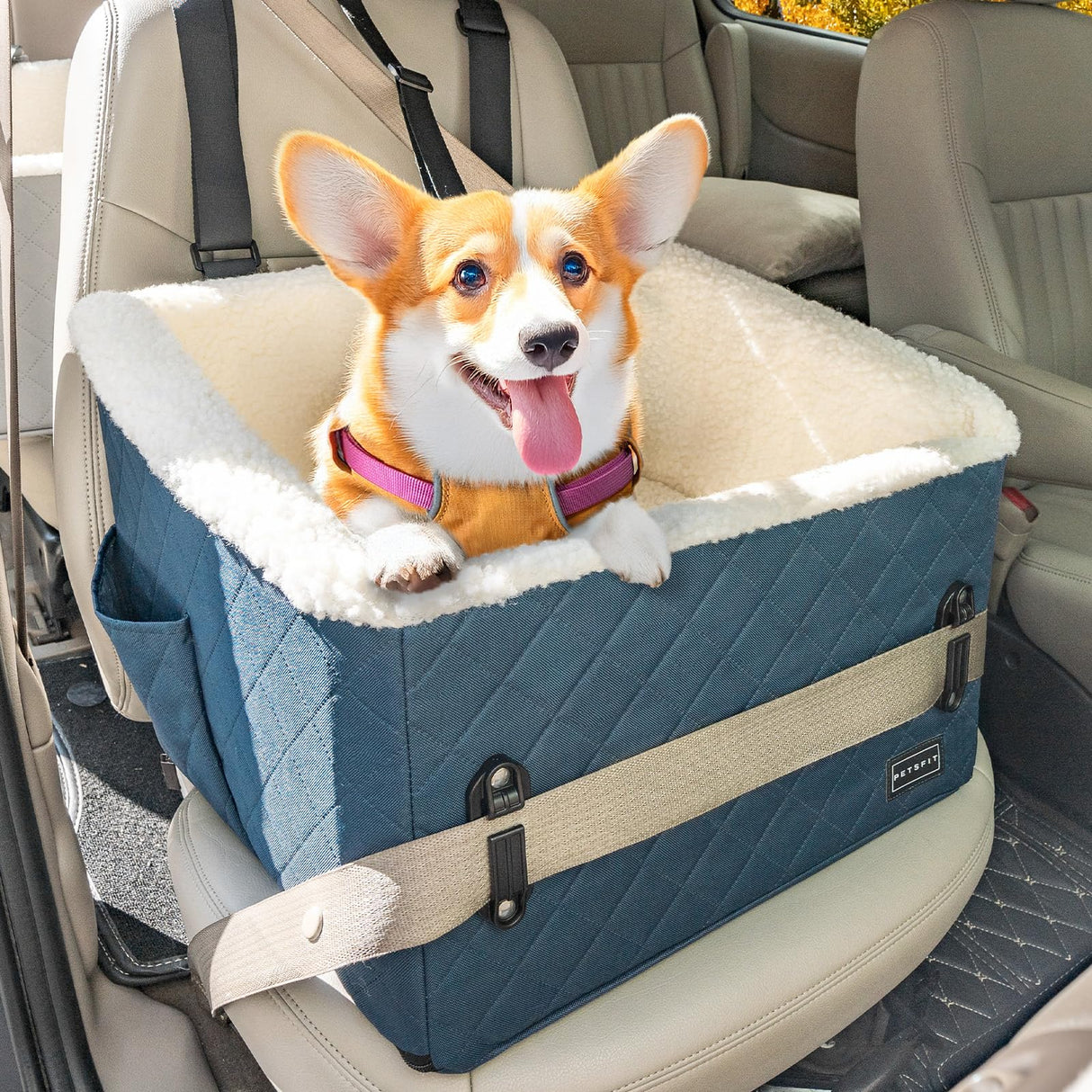 PETSFIT Pet Car Seat for Small Dogs, Soft Foam Dog Booster Car Seat with Patented Safety Buckles, Storage Pockets and Detachable Clip-On Safety Leash, Dog Carseat for Small Dogs Under 30 LBS (Blue)