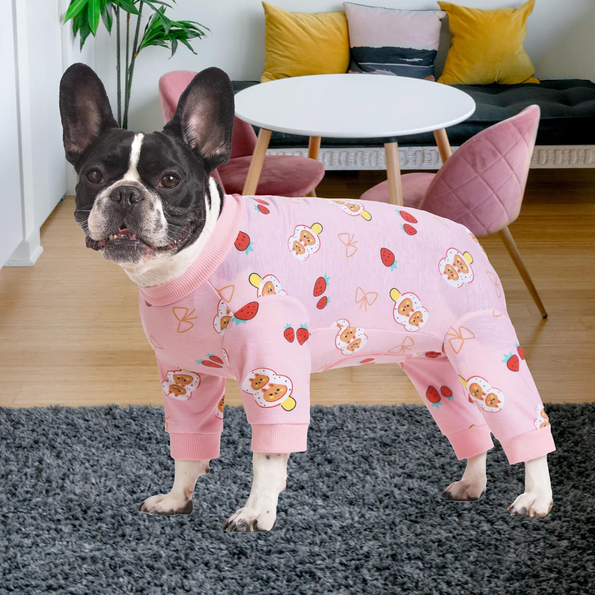 Dog Surgery Recovery Suit, Dog Onesie for Surgery Female Male Dogs, Dogs Pajamas Long Sleeve, Small Dogs Onesie, Abdominal Wound Bandages Surgical Suit, Cat Recovery Suit for Shedding Skin Disease