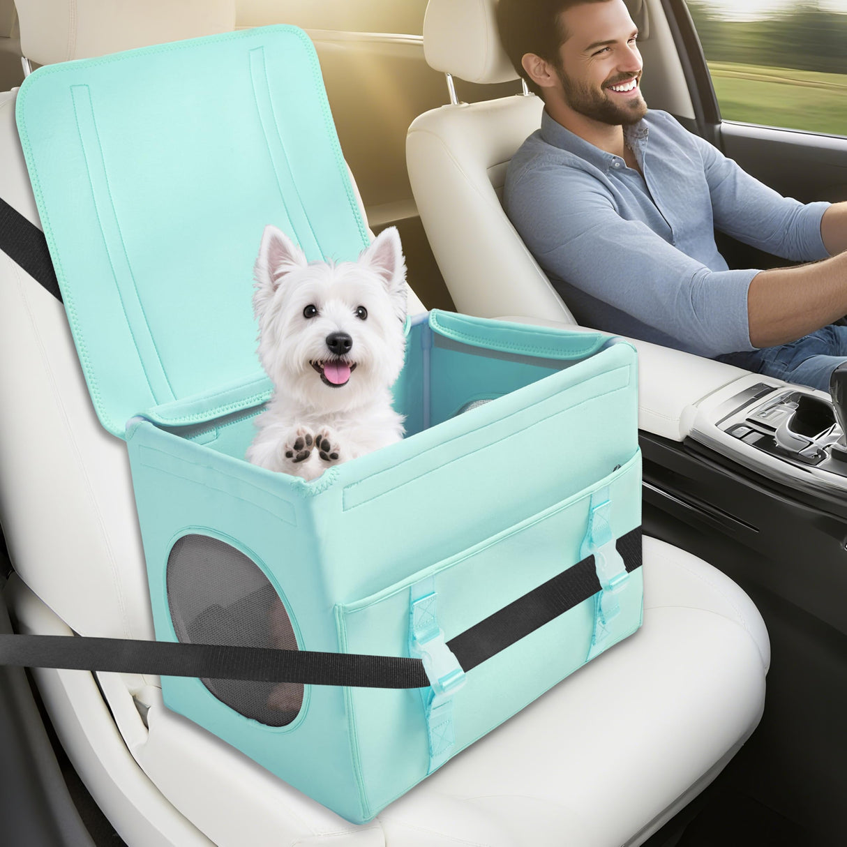 Dog Booster Car Seat with Washable Removable Cover for Small Dogs up to 13 lbs,Fits Car Truck SUV,(Green).