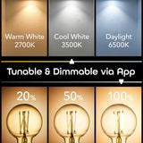 Geeni Smart Light Bulb - Alexa and Google Home Compatible, Tunable White LED Programmable and Dimmable WiFi Light Bulb, App Controlled (G25-2 Pack)