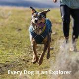 Ruffwear, Stumptown Quilted Dog Jacket, Insulated Water-Resistant Winter Coat with Reflective Trim & Leash Portal, Easy On/Off Buckles, Durable Cold-Weather Layer, River Rock Green, X-Small