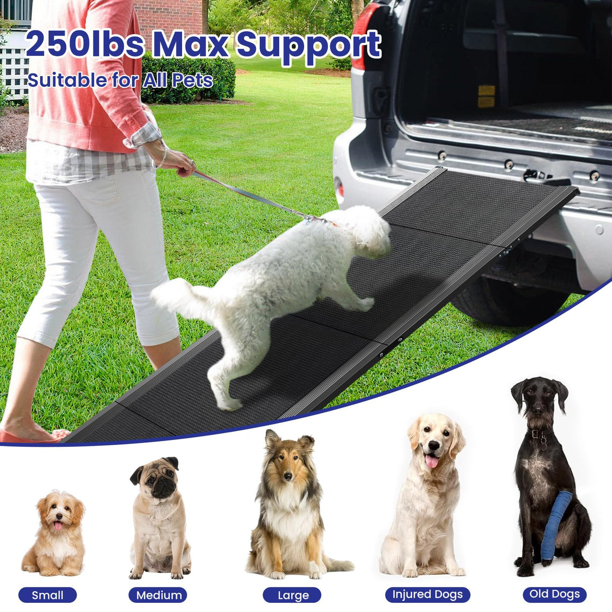 Dog Ramp for Car, 67" L x 20" W Extra Wide Folding Dog Ramp, Pet Ramp with Non-Slip Rug Surface, Dog Steps Supports Up to 250 lb, Outdoor Dog Ramp for Car, SUV, Truck