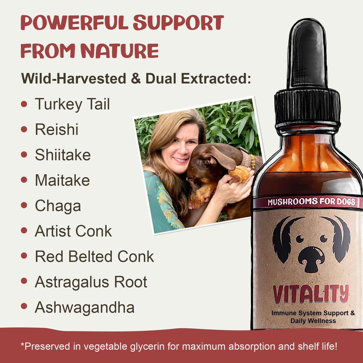 MycoDog Vitality - Turkey Tail Mushroom for Dogs - Mushroom & Adaptogen Supplement for Senior Dogs - Supporting Immune Health & Daily Wellness - with Reishi, Chaga