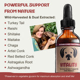 MycoDog Vitality - Turkey Tail Mushroom for Dogs - Mushroom & Adaptogen Supplement for Senior Dogs - Supporting Immune Health & Daily Wellness - with Reishi, Chaga