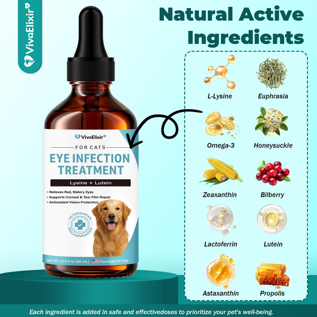Dog Eye Infection & Eye Care Support Supplements | All-Natural Support for Conjunctivitis, Swelling, Dry Eyes, Tear Stains & Discharge | with L-Lysine, Omega-3 & Lutein + Zeaxanthin | 2.03 fl oz
