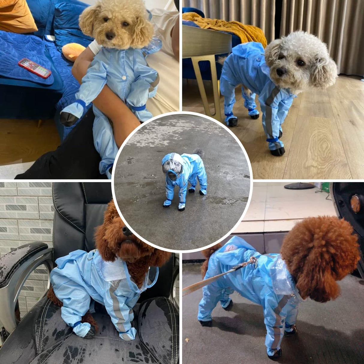 Pupmist Full Coverage Small Dog Raincoat, Waterproof with Four-Leg Protection, Ideal for Teddy Bears, Includes Waterproof Mini Backpack (Yellow, X-Small(Suggest Weight 1.3-3.3lb))