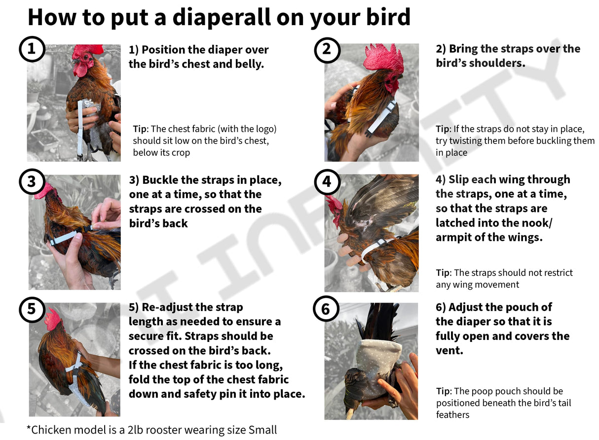 Chicken Diapers Duck Diaper Bird Diapers Diaperalls for Hens, Roosters, Ducks, Ducklings, Birds, Pigeons - Reusable, Adjustable by Uni Infinity (Pink Floral, Chicken Large, 1, Count)