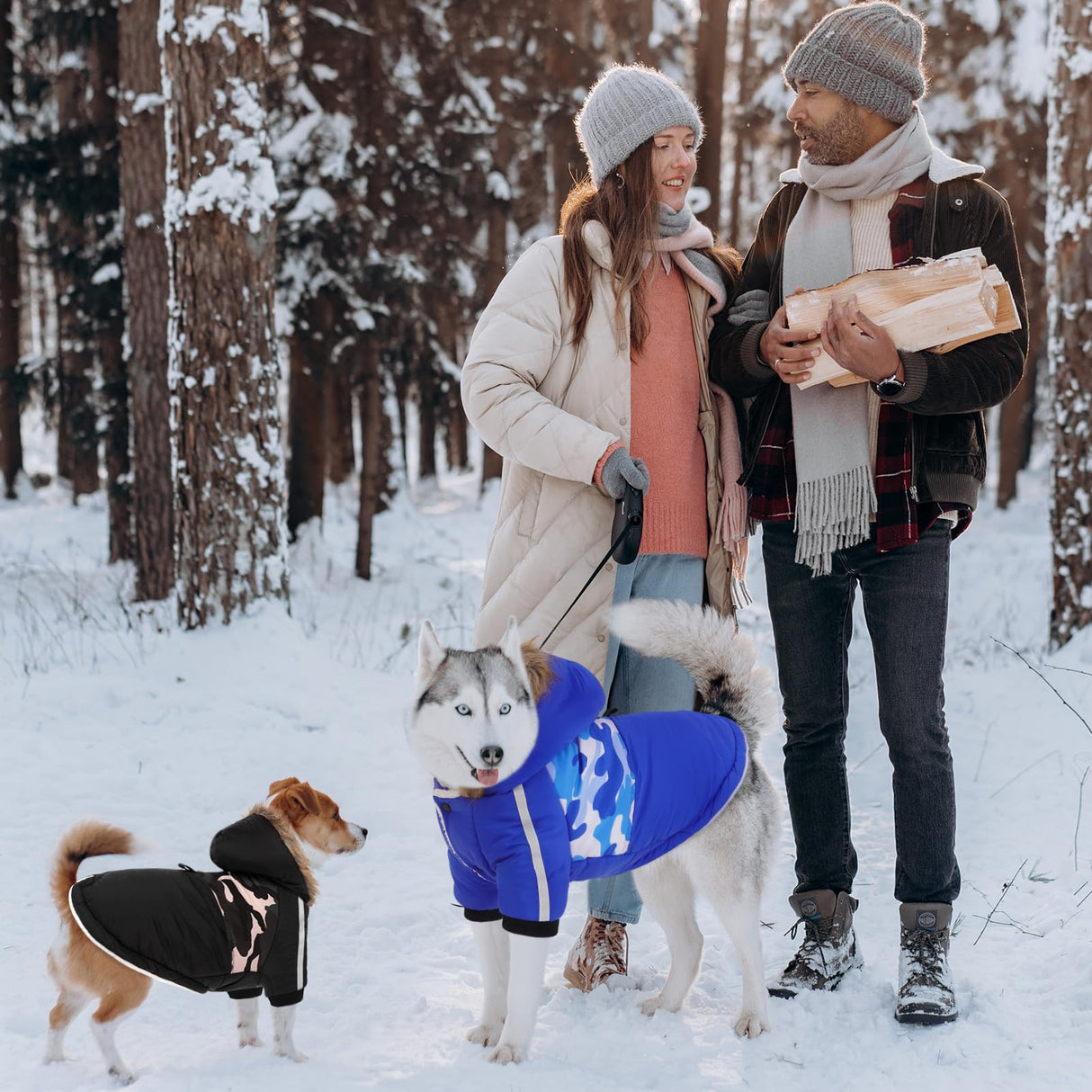 Queenmore Warm Dog Winter Coat, Cold Weather Waterproof Dog Snow Jacket, Reflective Dogs Hoodie with Long Sleeves for Small Medium and Large Dogs