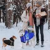 Queenmore Warm Dog Winter Coat, Cold Weather Waterproof Dog Snow Jacket, Reflective Dogs Hoodie with Long Sleeves for Small Medium and Large Dogs