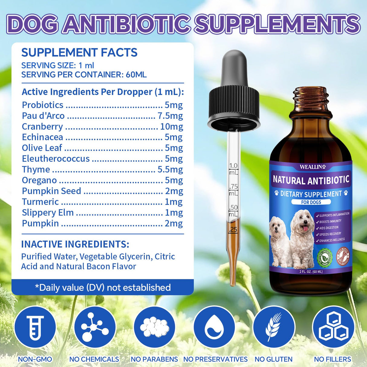 Dog Antibiotics Support - Natural Antibiotics Care for Dogs Herbal Supplement for Cough Allergy Itch Relief Immune Support Dog UTI Comfort for All Breeds & Ages - 60 ml/2 Fl Oz Bacon Flavor