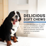 VPS SynovialMax Hip & Joint Soft Chews for Dogs, 240 count