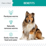 Dog and Cat Dewormer - 12 oz Wormer Liquid to Paralyze and Expel Roundworms - Kitten and Puppy Dewormer