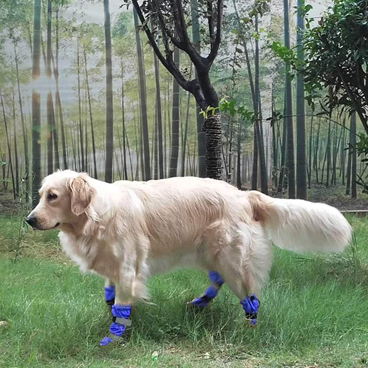 Hipaw Waterproof Dog Boots for Winter Snow Rain,Non-Slip Dog Shoes for Medium to Large Dogs,Extended Cuff Paw Protectors for Outdoor Walking Hiking
