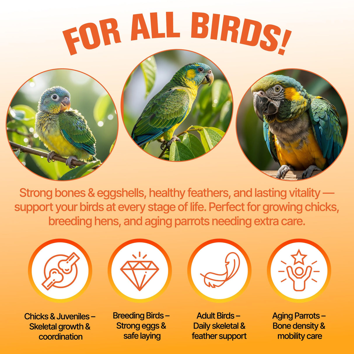 Calcium for Birds with Magnesium & Vitamins D3–Vet-Developed Formula for Parrots, Supports Strong Bones, Eggshell Health,Feather Growth,Muscle & Nerve Function,Dissolves Tasteless in Water,80 Servings