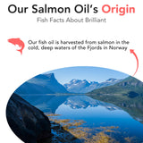 Salmon Oil for Dogs - Healthy Skin & Coat, Natural Norwegian Omega 3 Fish Oil Food Supplement, EPA & DHA Fatty Acids, Ideal for Shedding, Allergy, Itching, Dry Skin, Joint & Bone Health - (2 x 16.9oz)