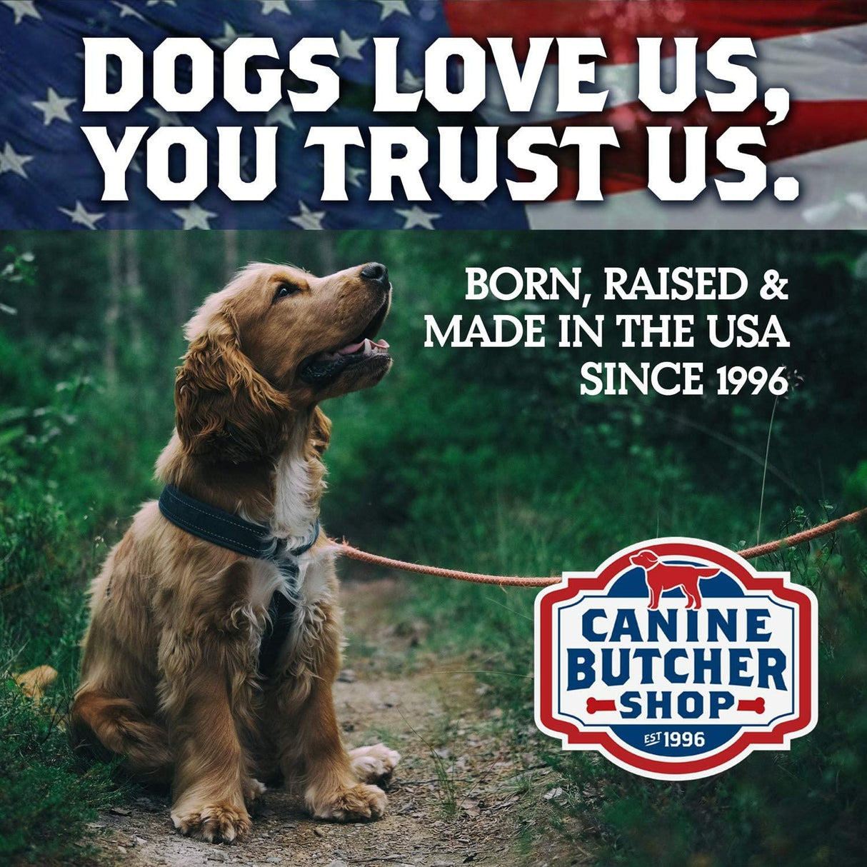 Canine Butcher Shop Chicken Feet Dog Treats, Raised & Made in USA (30-Pack), Dehydrated Chicken Feet, All Natural Dog Chews & Dog Snacks