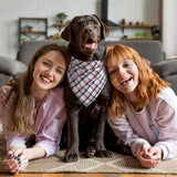 Segarty 60 Pack Triangle Pets Kerchief, 22.8"x15.7" Pet Scarf Washable Plaid Dog Bandanas Accessories Bulk for Small Medium Dogs Cats Large Puppy, Adjustable Reversible Boy Birthday Bibs