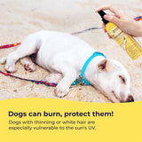 Gentle Creatures Dog Sunscreen - SPF 30+ With Skin Moisturizing Vitamin E and Olive Oil - No Zinc Oxide Safe for All Dogs and Cats - Dog Beach Accessories, Dog Camping Gear, Sunscreen for White Dogs