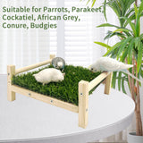 FlidRunest Bird Foraging Bed, Parrot Hammock Bed, Parrot Grass Perch Bed, Bird Perch Conure Platform Grass Forage Toy for Parakeet, Cockatiel, Lovebird, Budgie