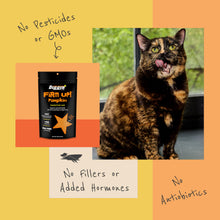 Load image into Gallery viewer, Diggin' Your Dog – Firm Up Pumpkin for Dogs &amp; Cats – Fiber Supplement with Pumpkin &amp; Apple Fiber for Cat &amp; Dog Digestive Support – Made in USA, 16 oz
