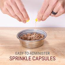 Load image into Gallery viewer, Nutramax Laboratories NARAQUIN™ Dietary Phosphate Binder + Renal Support Supplement for Cats &amp; Dogs, 60 Count
