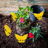 Foofol 18PCS Fruit Fly Sticky Traps Fungus Gnat Traps Insect Trap for Plants Kitchen Indoor Outdoor White Flies Mosquitos Fungus Gnats Flying Insects Houseplant Gift.
