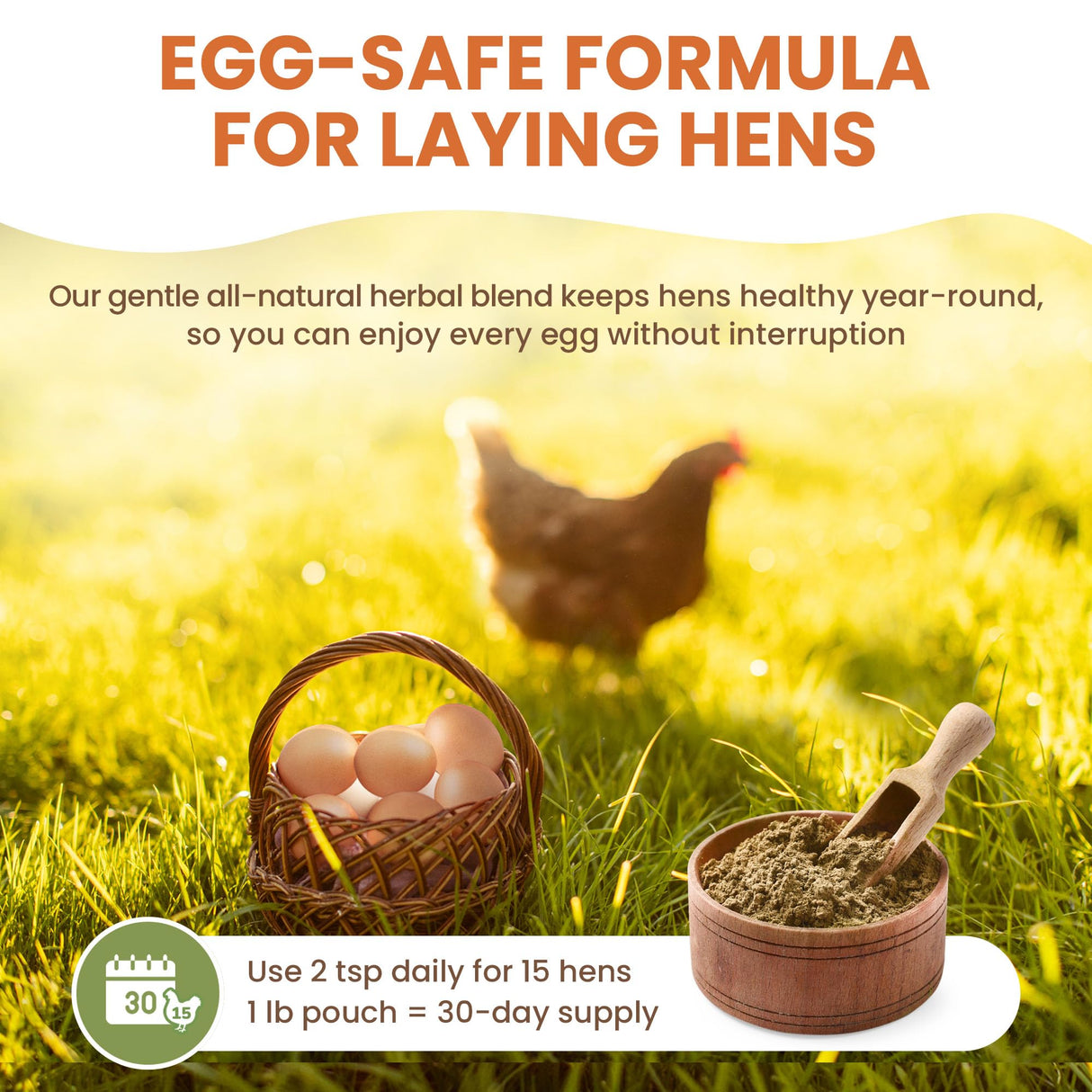 Natural Chicken Dewormer Chili Mix Powder (1 lb) | Herbal Poultry Wormer & Parasite Support for Laying Hens | Egg-Safe Chicken Dewormer for Backyard Flocks | 1 lb Bag
