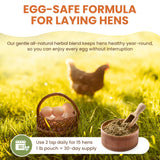 Natural Chicken Dewormer Chili Mix Powder (1 lb) | Herbal Poultry Wormer & Parasite Support for Laying Hens | Egg-Safe Chicken Dewormer for Backyard Flocks | 1 lb Bag