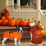 PAYHTOW 2 Pack Thanksgiving Dog Sweater, Knitted Dog Thanksgiving Fall Holiday Sweaters Outfit Clothes for Small Medium Large Dogs Pets (Turkey & Pumpkin, X-Large)