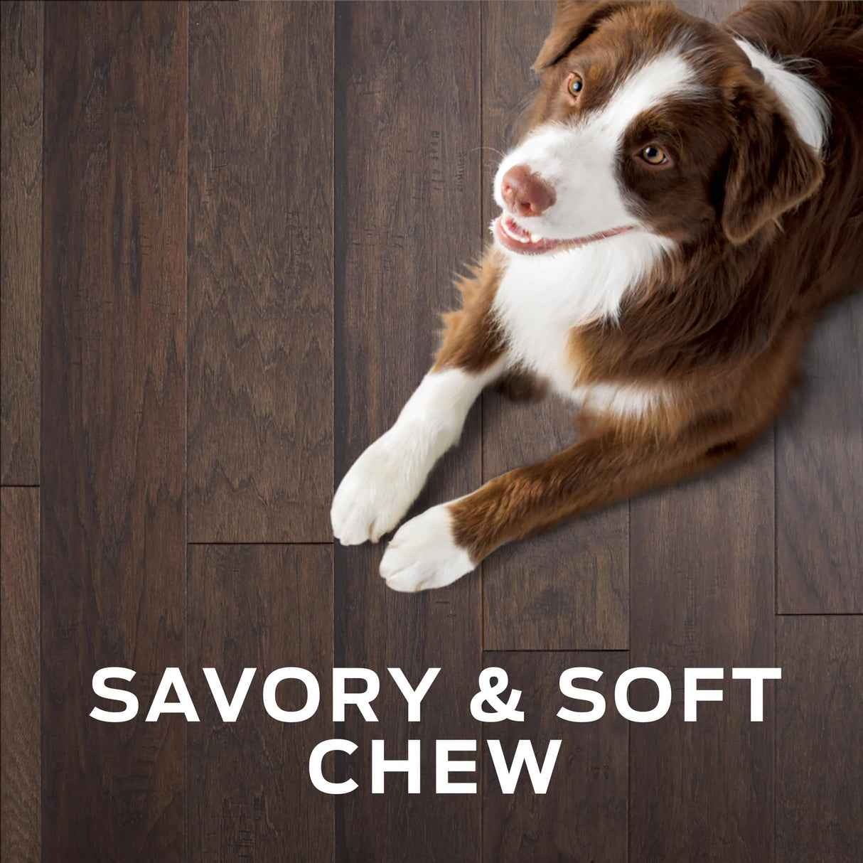 Pro Plan Veterinary Diets Purina Digestive Health Bites Dog Treat Chews - 16 oz. Pouch